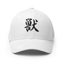 Closed - Back Structured Cap - Arekkusu - Store