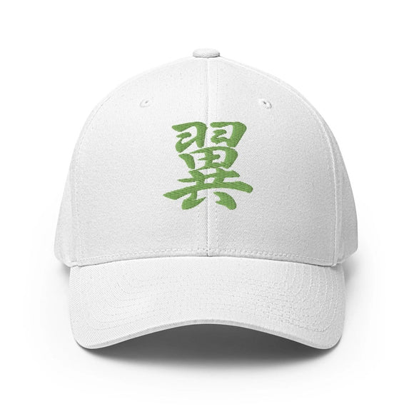 Closed - Back Structured Cap - Arekkusu - Store