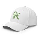 Closed - Back Structured Cap - Arekkusu - Store