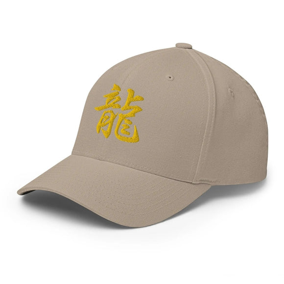 Closed - Back Structured Cap - Arekkusu - Store