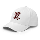 Closed - Back Structured Cap - Arekkusu - Store