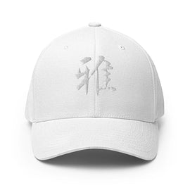 Closed - Back Structured Cap - Arekkusu - Store