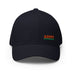 Closed - Back Structured Cap - Arekkusu - Store