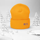 High Top Cuffed Beanie - Arekkusu - Store