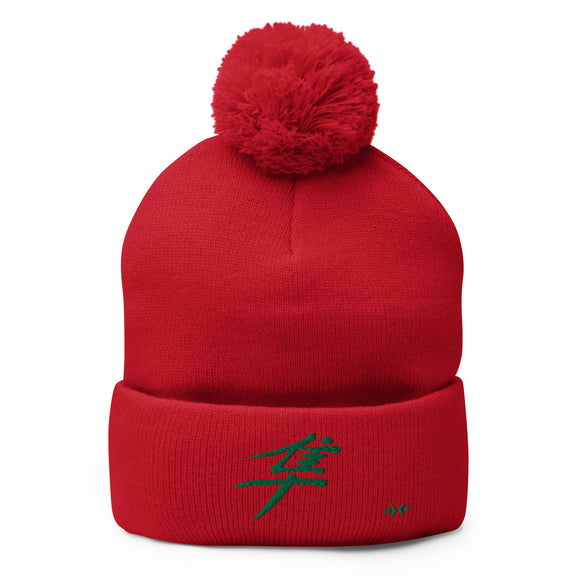 Pom-Pom Knit Beanie - Premium Beanies from Sportsman - Just $14.99! Shop now at Arekkusu-Store