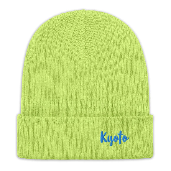Ribbed Knit Beanie - Premium Beanies from Atlantis - Just $17.25! Shop now at Arekkusu-Store