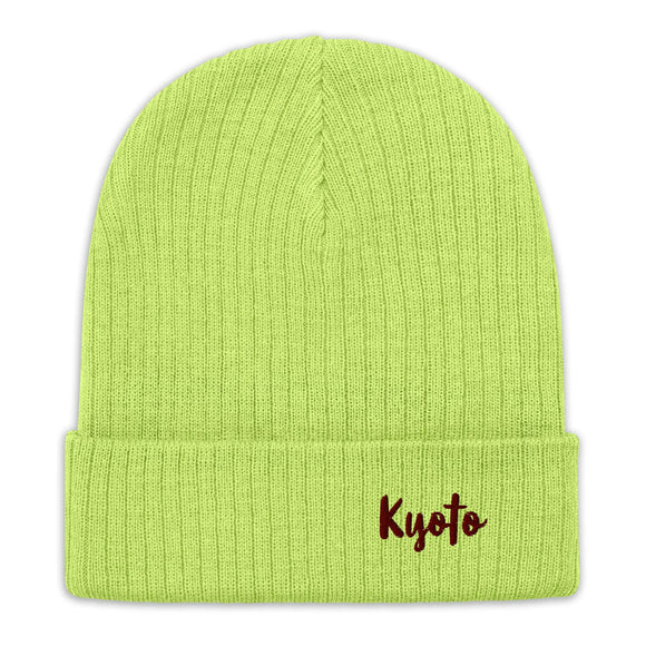 Ribbed Knit Beanie - Premium Beanies from Atlantis - Just $17.25! Shop now at Arekkusu-Store