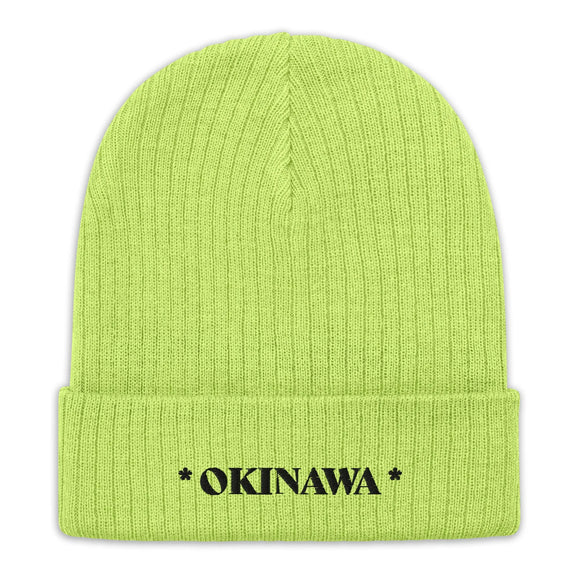 Ribbed Knit Beanie - Premium Beanies from Atlantis - Just $17.25! Shop now at Arekkusu-Store