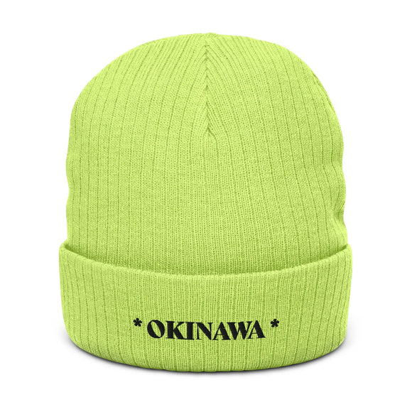 Ribbed Knit Beanie - Premium Beanies from Atlantis - Just $17.25! Shop now at Arekkusu-Store