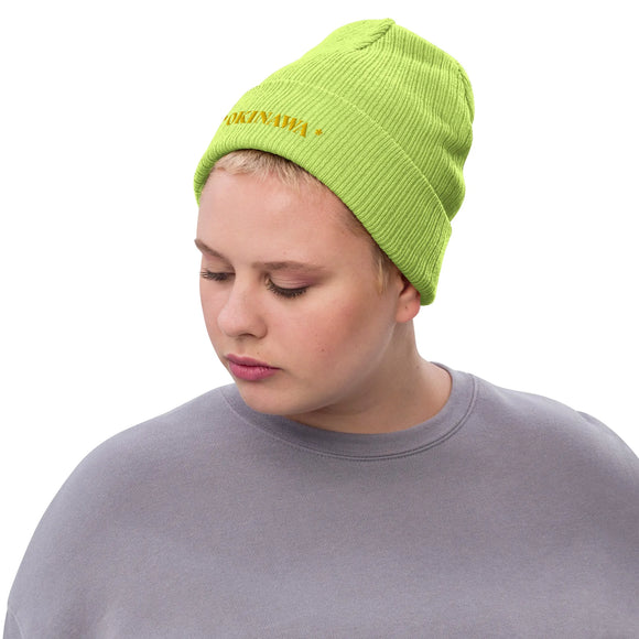 Ribbed Knit Beanie - Premium Beanies from Atlantis - Just $17.25! Shop now at Arekkusu-Store