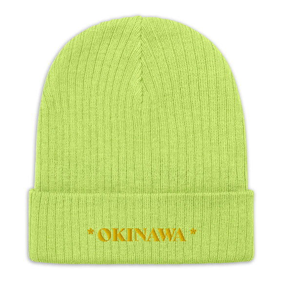 Ribbed Knit Beanie - Premium Beanies from Atlantis - Just $17.25! Shop now at Arekkusu-Store