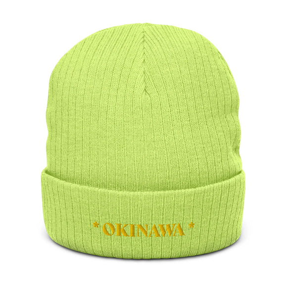 Ribbed Knit Beanie - Premium Beanies from Atlantis - Just $17.25! Shop now at Arekkusu-Store