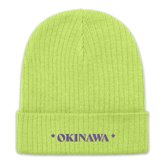 Ribbed Knit Beanie - Premium Beanies from Atlantis - Just $17.25! Shop now at Arekkusu-Store