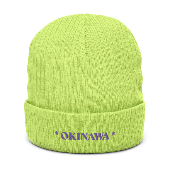 Ribbed Knit Beanie - Premium Beanies from Atlantis - Just $17.25! Shop now at Arekkusu-Store