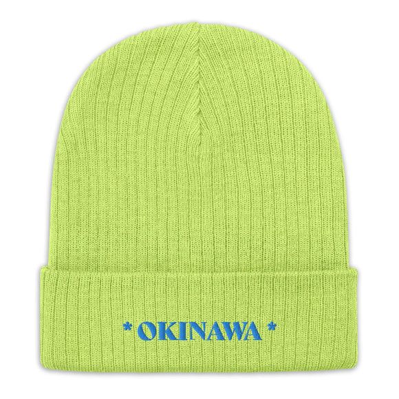 Ribbed Knit Beanie - Premium Beanies from Atlantis - Just $17.25! Shop now at Arekkusu-Store