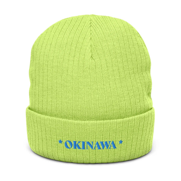 Ribbed Knit Beanie - Premium Beanies from Atlantis - Just $17.25! Shop now at Arekkusu-Store