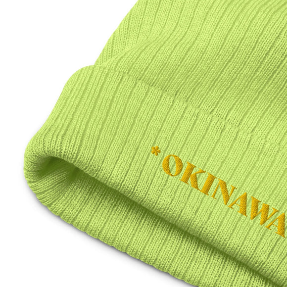 Ribbed Knit Beanie - Premium Beanies from Atlantis - Just $17.25! Shop now at Arekkusu-Store
