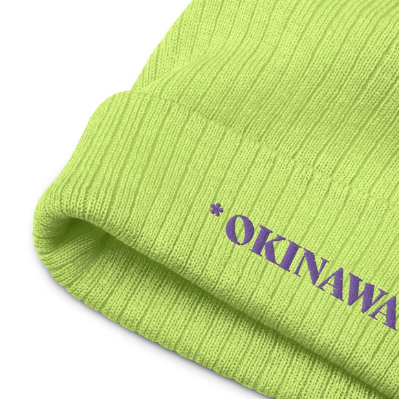 Ribbed Knit Beanie - Premium Beanies from Atlantis - Just $17.25! Shop now at Arekkusu-Store