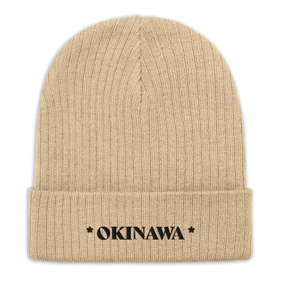 Ribbed Knit Beanie - Premium Beanies from Atlantis - Just $17.25! Shop now at Arekkusu-Store