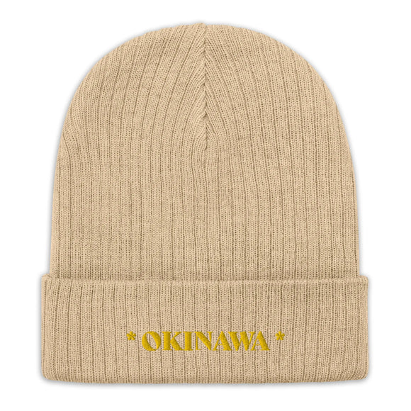 Ribbed Knit Beanie - Premium Beanies from Atlantis - Just $17.25! Shop now at Arekkusu-Store