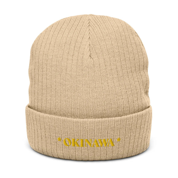 Ribbed Knit Beanie - Premium Beanies from Atlantis - Just $17.25! Shop now at Arekkusu-Store