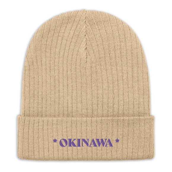 Ribbed Knit Beanie - Premium Beanies from Atlantis - Just $17.25! Shop now at Arekkusu-Store