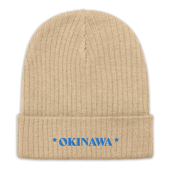 Ribbed Knit Beanie - Premium Beanies from Atlantis - Just $17.25! Shop now at Arekkusu-Store