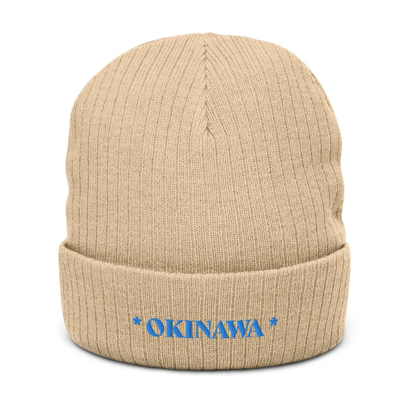 Ribbed Knit Beanie - Premium Beanies from Atlantis - Just $17.25! Shop now at Arekkusu-Store
