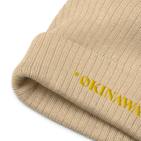 Ribbed Knit Beanie - Premium Beanies from Atlantis - Just $17.25! Shop now at Arekkusu-Store