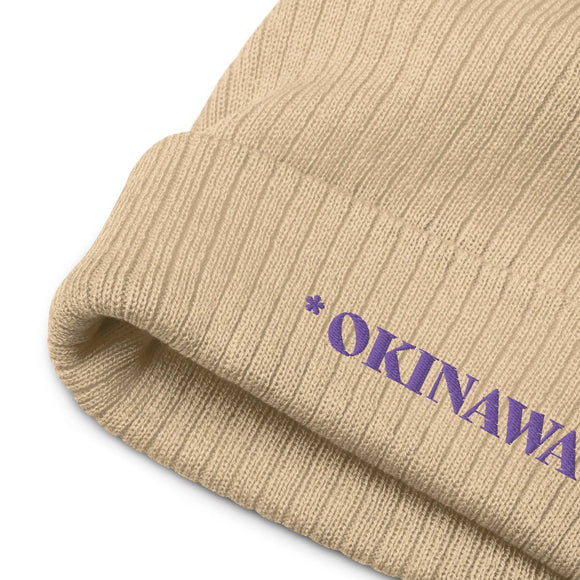 Ribbed Knit Beanie - Premium Beanies from Atlantis - Just $17.25! Shop now at Arekkusu-Store