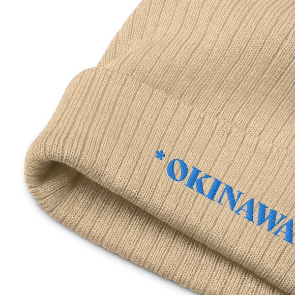 Ribbed Knit Beanie - Premium Beanies from Atlantis - Just $17.25! Shop now at Arekkusu-Store