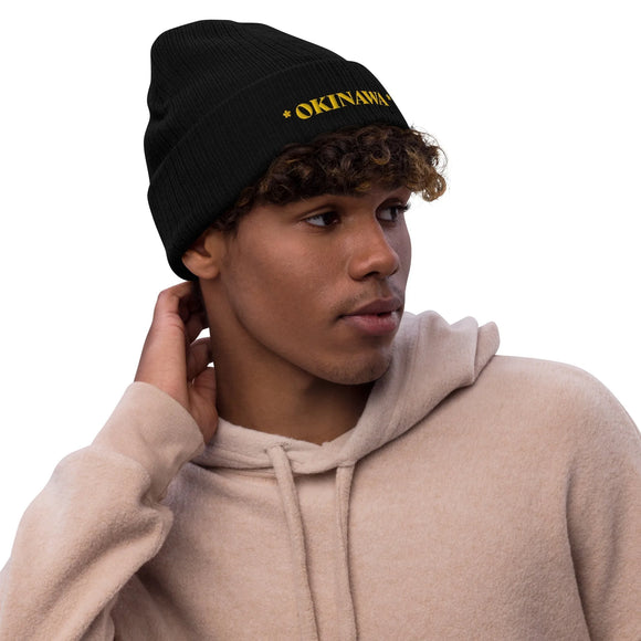 Ribbed Knit Beanie - Premium Beanies from Atlantis - Just $17.25! Shop now at Arekkusu-Store