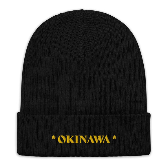Ribbed Knit Beanie - Premium Beanies from Atlantis - Just $17.25! Shop now at Arekkusu-Store