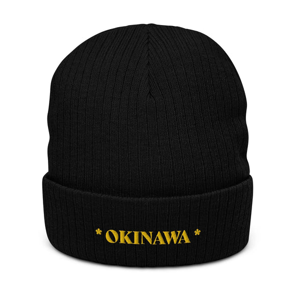 Ribbed Knit Beanie - Premium Beanies from Atlantis - Just $17.25! Shop now at Arekkusu-Store