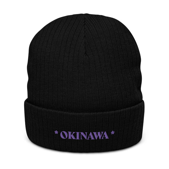 Ribbed Knit Beanie - Premium Beanies from Atlantis - Just $17.25! Shop now at Arekkusu-Store