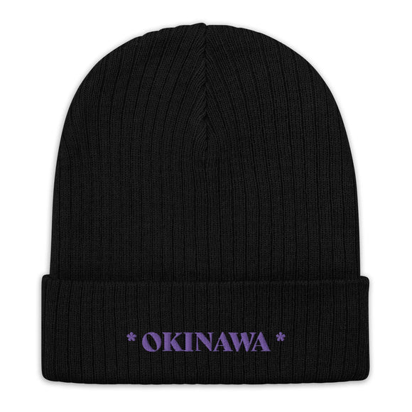 Ribbed Knit Beanie - Premium Beanies from Atlantis - Just $17.25! Shop now at Arekkusu-Store