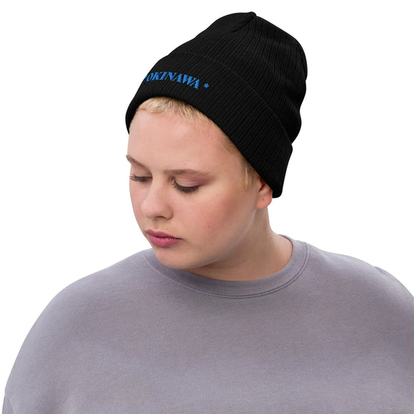 Ribbed Knit Beanie - Premium Beanies from Atlantis - Just $17.25! Shop now at Arekkusu-Store