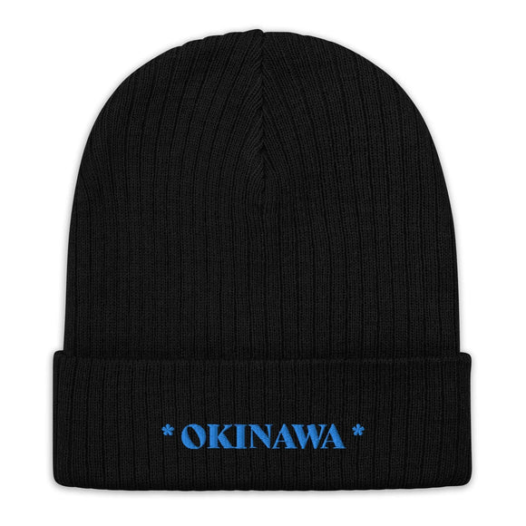 Ribbed Knit Beanie - Premium Beanies from Atlantis - Just $17.25! Shop now at Arekkusu-Store