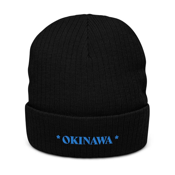 Ribbed Knit Beanie - Premium Beanies from Atlantis - Just $17.25! Shop now at Arekkusu-Store