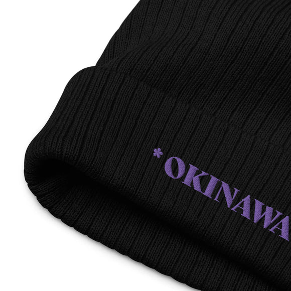 Ribbed Knit Beanie - Premium Beanies from Atlantis - Just $17.25! Shop now at Arekkusu-Store