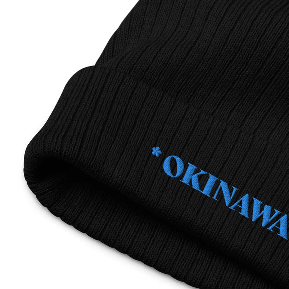 Ribbed Knit Beanie - Premium Beanies from Atlantis - Just $17.25! Shop now at Arekkusu-Store
