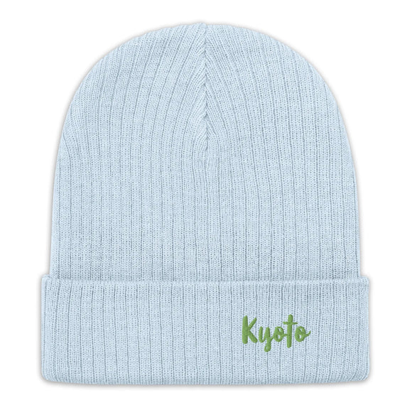 Ribbed Knit Beanie - Premium Beanies from Atlantis - Just $17.25! Shop now at Arekkusu-Store