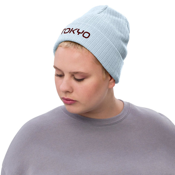 Ribbed Knit Beanie - Premium Beanies from Atlantis - Just $17.25! Shop now at Arekkusu-Store