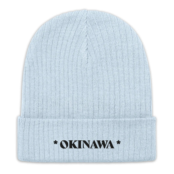 Ribbed Knit Beanie - Premium Beanies from Atlantis - Just $17.25! Shop now at Arekkusu-Store