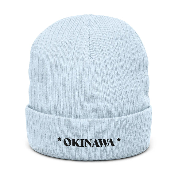 Ribbed Knit Beanie - Premium Beanies from Atlantis - Just $17.25! Shop now at Arekkusu-Store