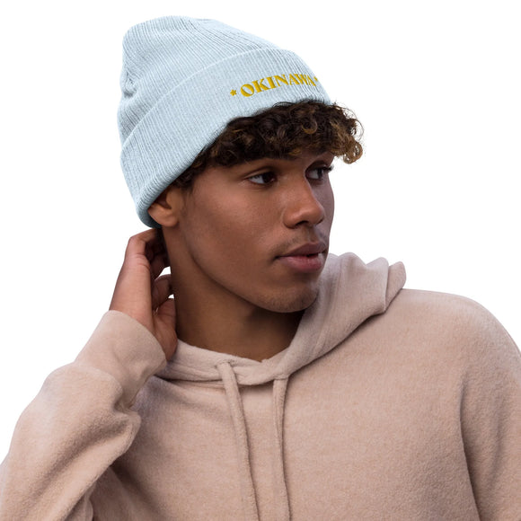 Ribbed Knit Beanie - Premium Beanies from Atlantis - Just $17.25! Shop now at Arekkusu-Store