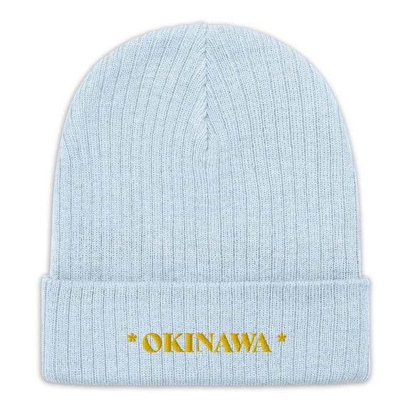 Ribbed Knit Beanie - Premium Beanies from Atlantis - Just $17.25! Shop now at Arekkusu-Store