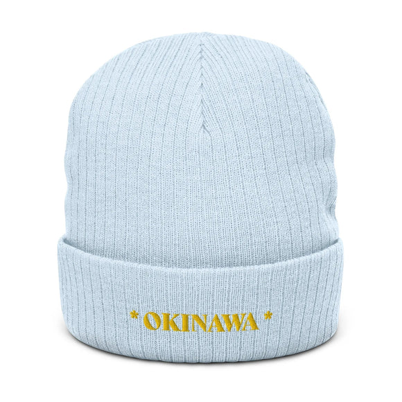 Ribbed Knit Beanie - Premium Beanies from Atlantis - Just $17.25! Shop now at Arekkusu-Store