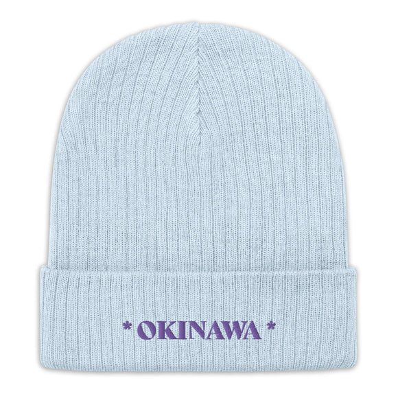 Ribbed Knit Beanie - Premium Beanies from Atlantis - Just $17.25! Shop now at Arekkusu-Store