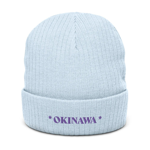 Ribbed Knit Beanie - Premium Beanies from Atlantis - Just $17.25! Shop now at Arekkusu-Store